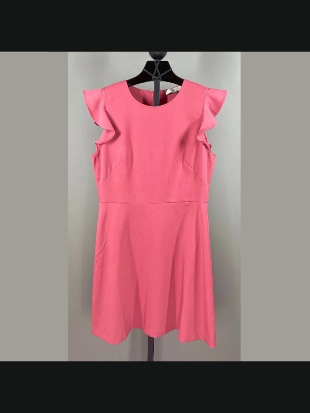 NEW Ann Taylor Loft Dress Womens 14 pink fit flare sheath colorful classic
